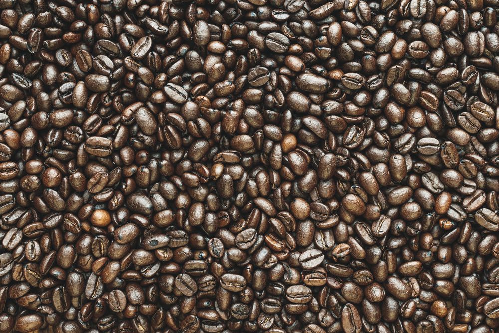Кофе для гурманов — что нужно знать