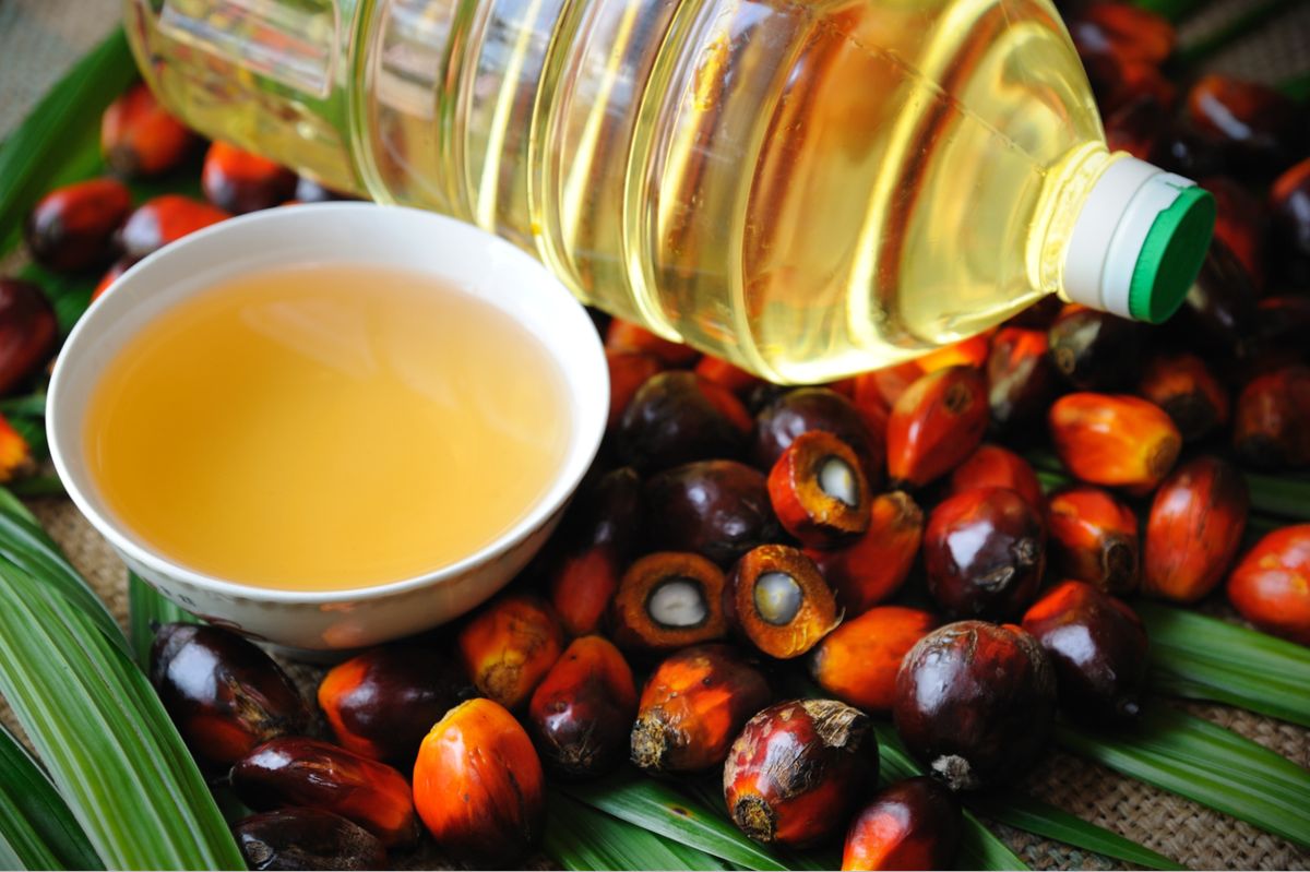 Действительно ли пальмовое масло вредно