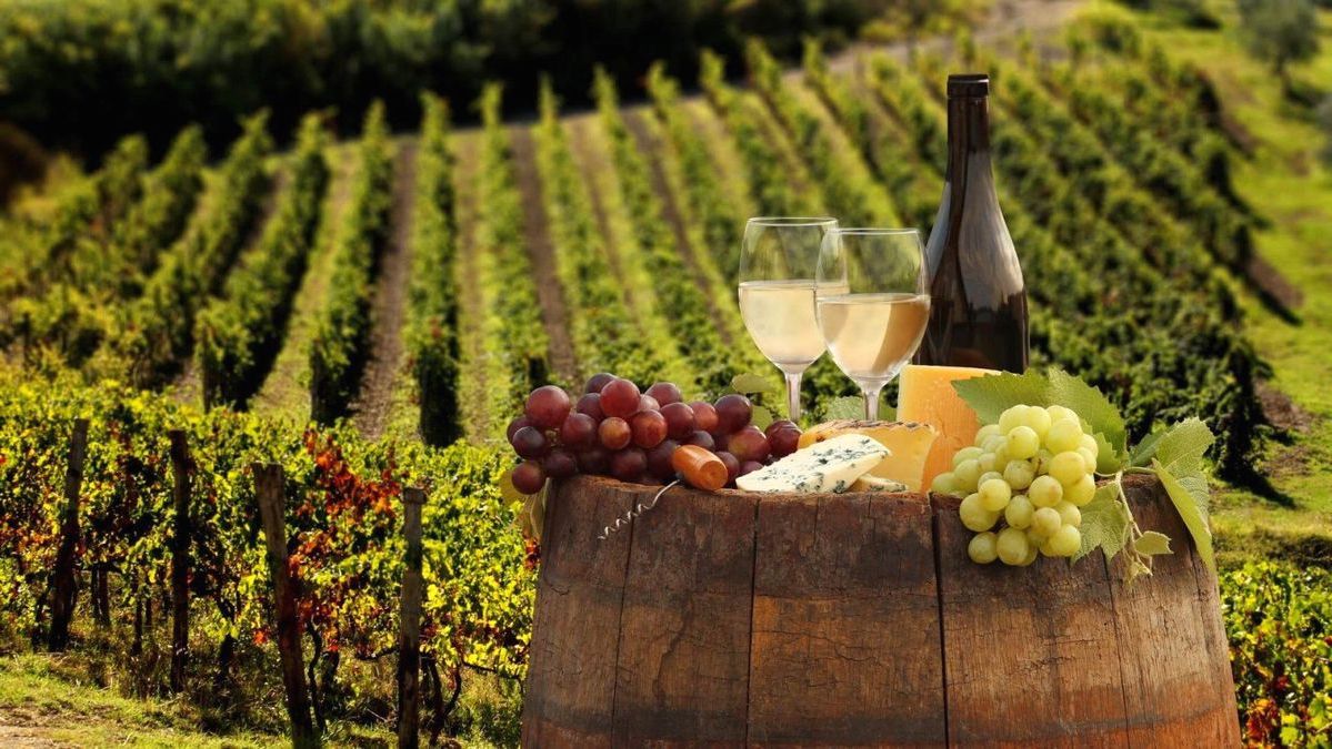 Как сделать домашнее вино из винограда