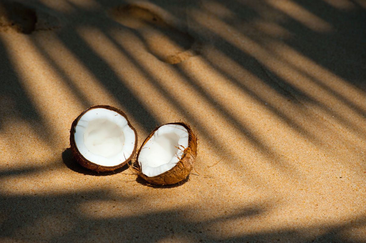 Что сделать из кокосового молока