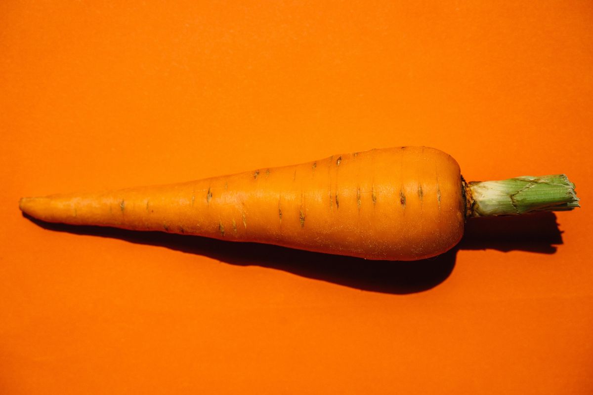 Морква – Користь та шкода для людини