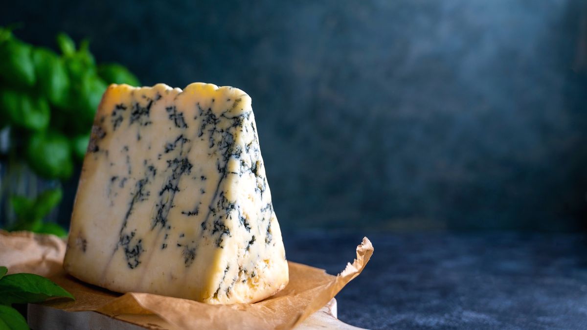 Чим корисний сир з пліснявою
