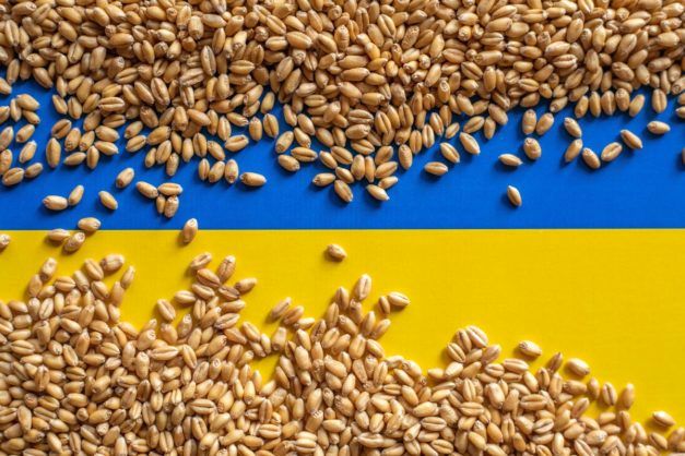 Огляд функціонування біржи зерна в Україні
