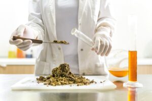 Как сделать настойку из прополиса: простые рецепты