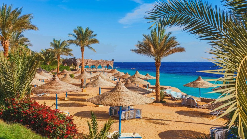 Отдых в Египте all inclusive — что нужно знать перед поездкой